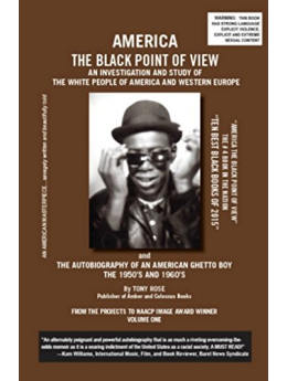 America The Black Point of View