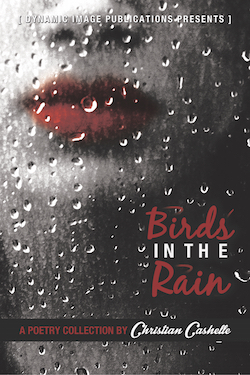 Birds in the Rain