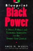 Blueprint For Black Power