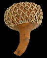 Shekere (Large)