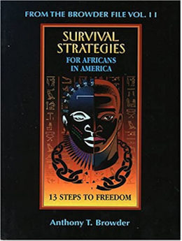 Survival Strategies for Africans In America