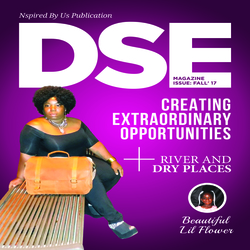 DSE Magazine