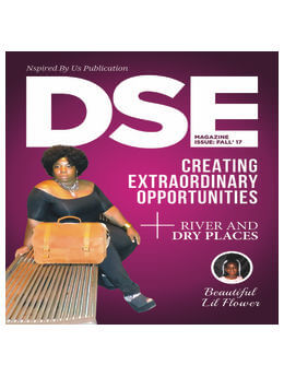 DSE Magazine