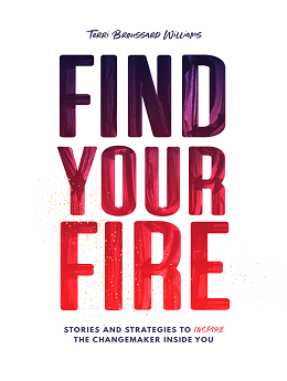 Find Your Fire