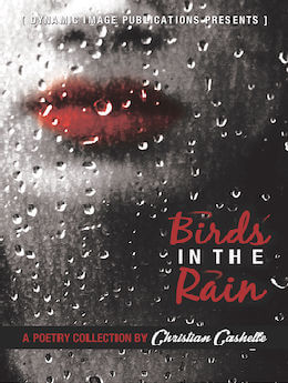 Birds in the Rain