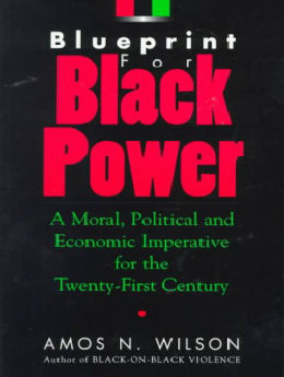 Blueprint for Black Power