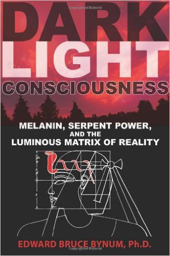 Dark Light Consciousness