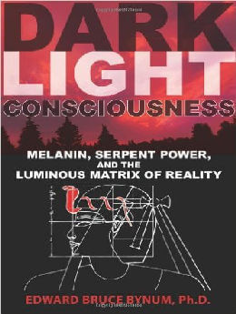 Dark Light Consciousness