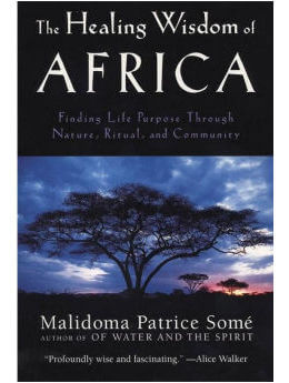 The Healing Wisdom of Africa