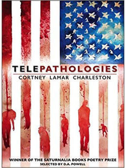 Telepathologies